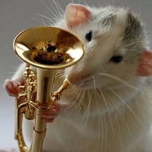 Meet your Posher, Lily